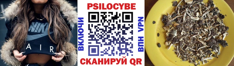 Купить закладки  Белореченск  Галлюциногенные грибы Magic Shrooms 